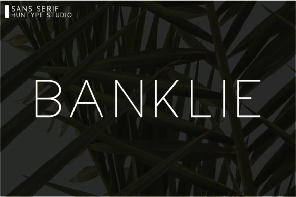 Banklie: A Designer’s Honest Review for Real-World Branding