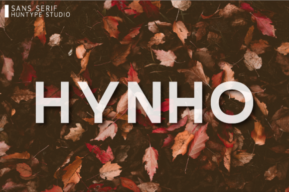 Hynho: The Contemporary Sans Serif Font for Polished Branding