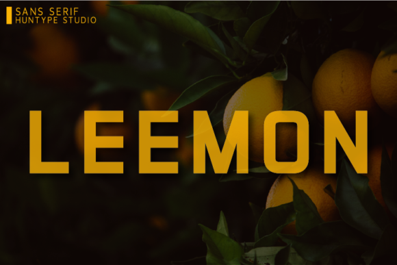 Leemon Font Review: A Designer’s Take on Modern Versatility