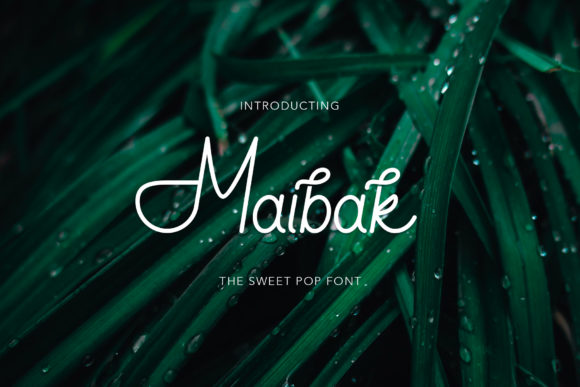 Maibak Typeface Review: Elevating Campaign Visuals