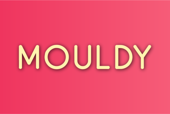 Mouldy: A Minimal Sans Serif Typeface for Clean Editorial Design
