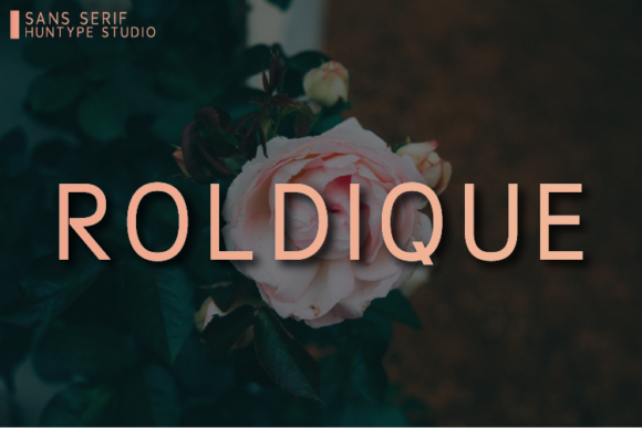 Roldique: The Minimal Sans Serif Font for Polished Branding