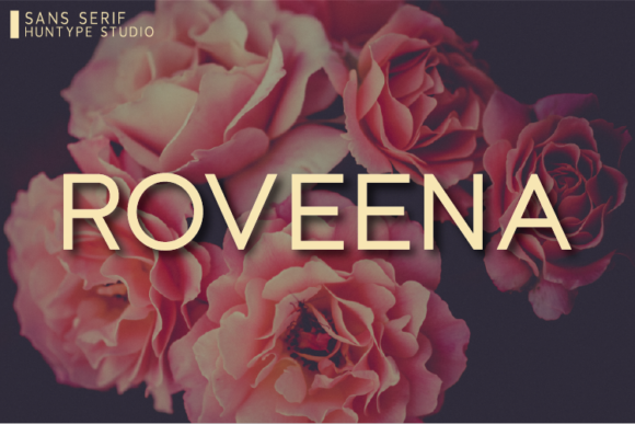 Roveena: The Clean Sans Serif Typeface for Modern Handmade Brands