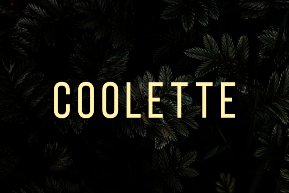 Upgrade Your Brand Identity with the Coolette Typeface